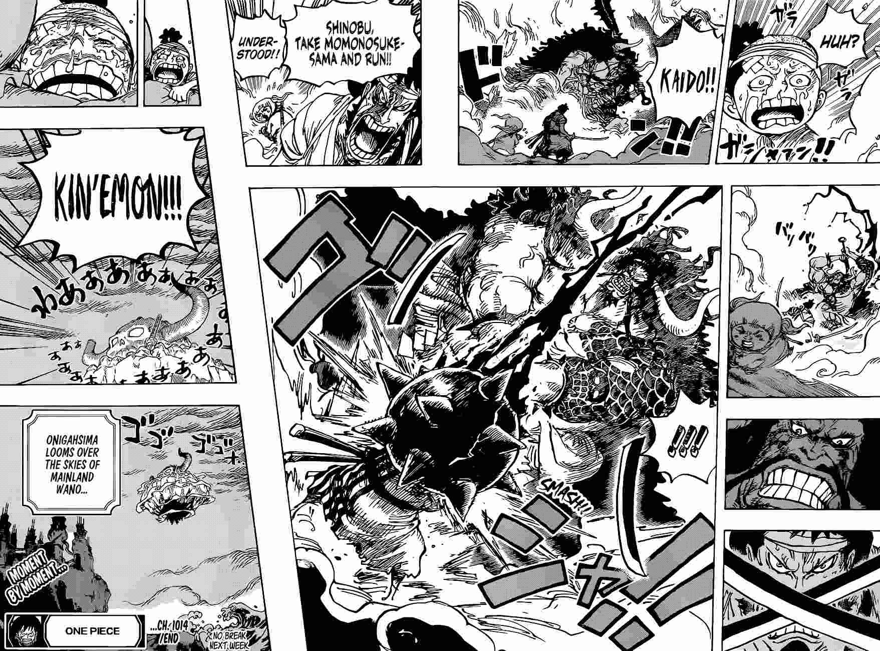 One Piece Chapter 1014 15